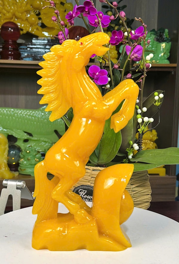 NGỰA SIZE TO